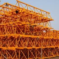 Offre Spéciale nouveau bâtiment grue à tour 30 mètres 100m de hauteur aux Philippines