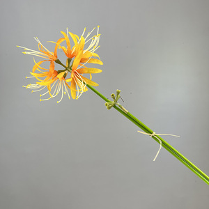 Fleurs <span class=keywords><strong>Higanbana</strong></span> artificielles de haute qualité en plusieurs couleurs réalistes pour la décoration murale du Nouvel An de la remise des diplômes de Noël en gros - Product Image 6