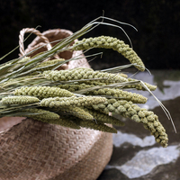 Couronne de fleurs de blé séchées naturelles de style pastoral, préservées, de haute qualité, écologiques, pour la décoration intérieure et Noël (vente en gros)