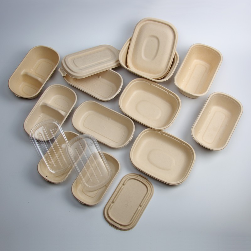 Disposable Takeaway Food Container Sugarcane Bagasse