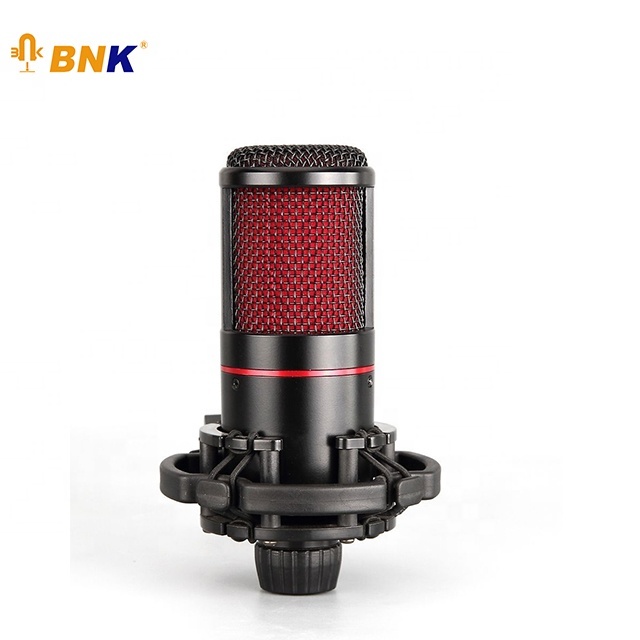 Guangzhou BNK Tube Microphones Studio Zingyou Microfone Condensador BM800