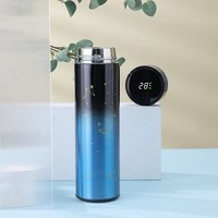 Termo de Acero Inoxidable de Alta Calidad con Pantalla LED de Temperatura y Color Degradado, Aislado al Vacío, para Actividades al Aire Libre