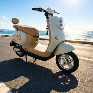 Nouveauté 2025 : cyclomoteur électrique rapide 1500 W, homologué EEC COC, 2 roues, vélo de ville pour adultes - Product Image 2