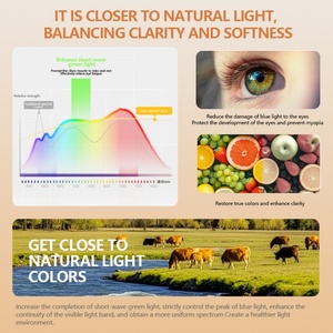 2025 No Blu-ray Custom Book <b>Light</b> Portable <b>LED</b> Rechargeable Table Lamp With Lithium Ion Battery Included <b>LED</b> Book Reading <b>Light</b> - Product Image 3