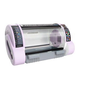 Incubateur pour animaux de compagnie, alimentation en oxygène, incubateur pour chiots, pour petits chiens et chats, instrument vétérinaire - Product Image 1