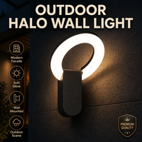 Applique murale extérieure LED ovale minimaliste évidée 12W avec diffuseur annulaire en PC, étanche IP65, pour villa, cour et éclairage paysager
