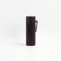 Bouteille d'eau isotherme en acier inoxydable de qualité alimentaire 580 ml, à double paroi, avec couvercle à paille, anti-fuite, portable, avec poignée de transport, sans BPA