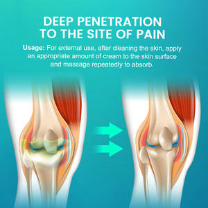 Nouvelle pommade pénétrante à base de plantes Glucosamine crème pour douleurs articulaires soulagement de la douleur à l'épaule crème de Massage pommade pour le soulagement de la douleur au genou - Product Image 4