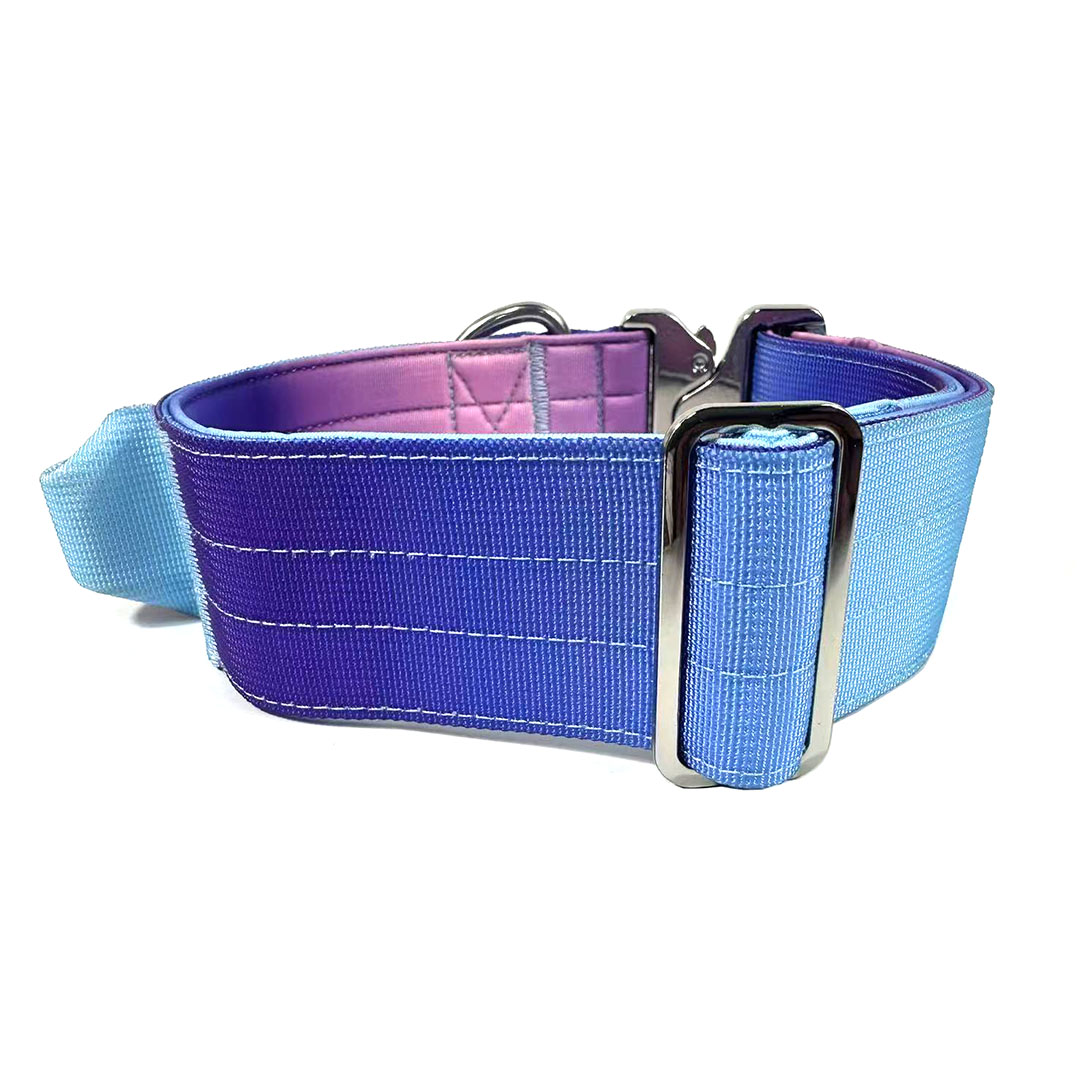 Dégradé bleu rose violet