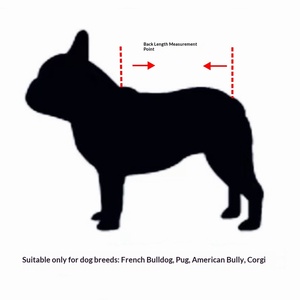 <span class=keywords><strong>Ropa</strong></span> con Estampado de Perros <span class=keywords><strong>para</strong></span> Bulldog Francés, Pug, Corgi, <span class=keywords><strong>Pitbull</strong></span>, Camiseta de Cuatro Patas <span class=keywords><strong>para</strong></span> las Cuatro Estaciones, Diseño Moderno - Product Image 2