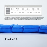 Matelas gonflable rectangulaire en TPU ultra-léger et résistant à l'humidité, 5 cm d'épaisseur, pour pique-nique, camping et équipement de plein air