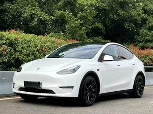 เทสลา โมเดล วาย: สร้างขึ้นเพื่อการผจญภัย ออกแบบมาเพื่อการใช้งานในชีวิตประจำวัน ความอเนกประสงค์ที่กว้างขวาง ประสิทธิภาพการใช้พลังงานไฟฟ้า - Product Image 2