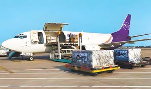 빠르고 저렴한 항공화물 운송업자 중국에서 트빌리시/TBS 조지아 익스프레스 배송 서비스 - Product Image 6