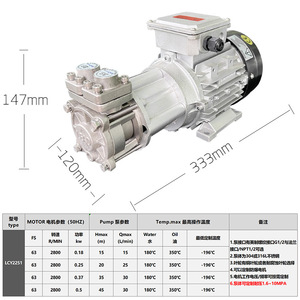 Pompe magnétique Lcy2251 0,18-0,5 kW, hauteur de refoulement 15-45 m, en acier inoxydable, pour le contrôle de la température des moules - Product Image 1
