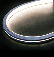 Éclairage linéaire flexible néon 1313 bande de silicone avec lampe intégrée au plafond sans lampe principale 13*13MM néon flexible LED 24V lumières colorées