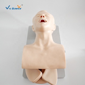 Modèle d'intubation de trachée humaine modèle d'intubation pour infirmière mannequin de soins infirmiers en science médicale - Product Image 2