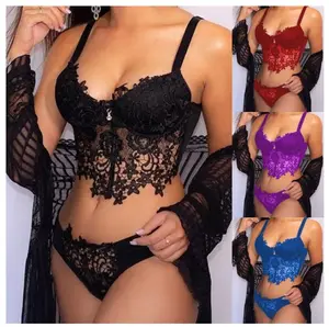 Bralette en dentelle brodée deux pièces lingerie soutien-gorge et culotte ensemble pour femmes pyjamas de lingerie sexy vente en gros