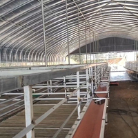 Structure en acier galvanisé à grande portée pour élevage de moutons et chèvres, pour 200 à 10 000 unités
