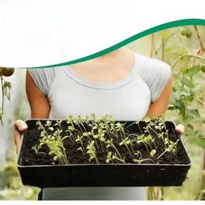 Barquettes de semis carrées en plastique sans trous de drainage pour la culture de micro-légumes et de blé - Product Image 5