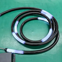 Nouveau produit 2026 : Tube néon flexible noir 360 RGB D22, néon RGB adressable à 360 degrés, néon flexible à 360 LED
