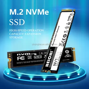 DISQUE DUR SSD M.2 NVME INTERNE GIGABYTE 256G (GP-GSM2NE3256GNTD)