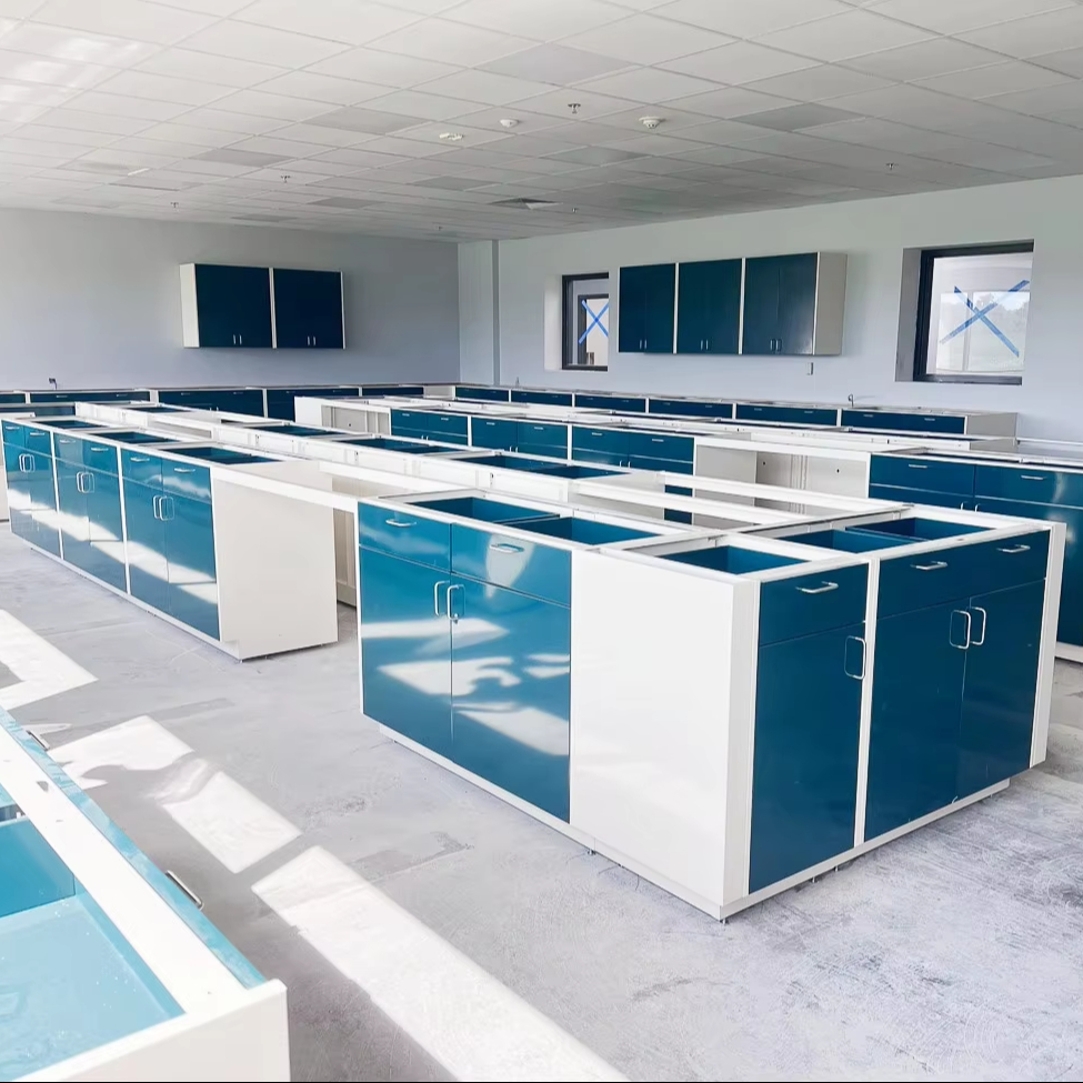 Customized Lab Supplies and Equipment Laboratory Bench Table Furniture Lab Bench Workstation