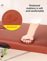 Table de massage pliante légère professionnelle, cadre en acier, lit spa à 2 volets pour la maison, le salon, le tatouage et la physio