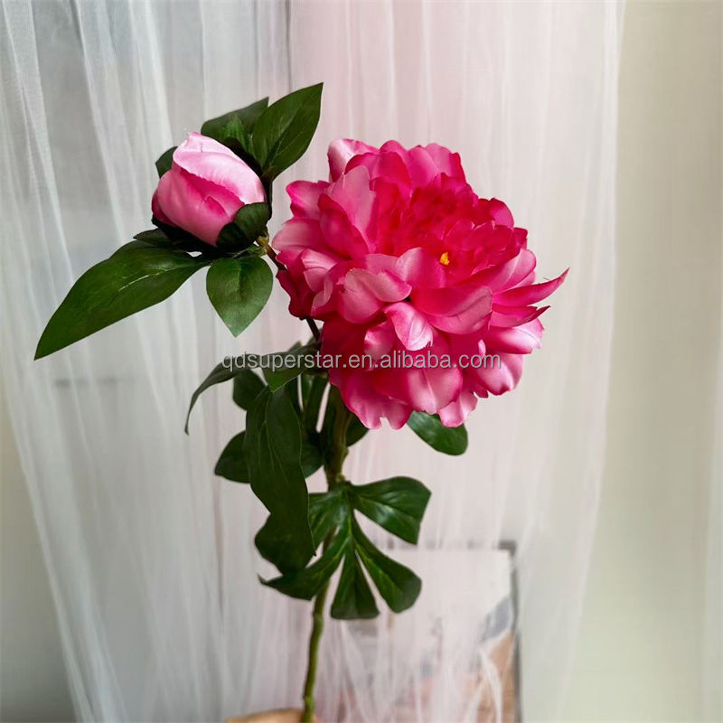 Rose vif