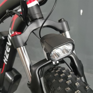 Bicicleta Eléctrica de 1000W 48V 13Ah con Cuadro de Aleación de Aluminio y Litio, Estilo Cafe <span class=keywords><strong>Racer</strong></span>, Utilitaria, de Carga, Motorizada, para Playa, con Neumáticos Anchos, 40kph - Product Image 2