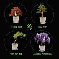 Kit Pohon Bonsai Dalam Ruangan Kit Tanaman Bonsai Pemula Perlengkapan Berkebun untuk Pemula Hadiah Ulang Tahun Anak