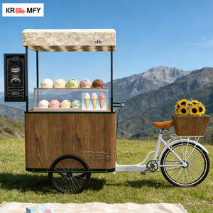 Vélo électrique pour boissons artisanales avec fibre de verre pour des solutions alimentaires durables, chariot tricycle pour crème glacée avec congélateur - Product Image 6