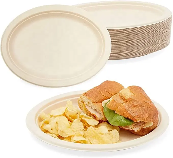 Heatable Sturdy Sugarcane Bagasse Biodegradable Plates Bulk Disposable Paper Plate Square disposable dinner plates 10 inches