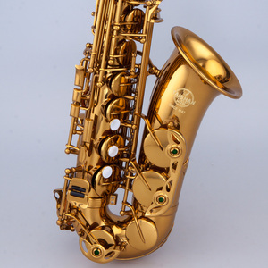 Saxofón Alto profesional, fabricado por Taishan - Product Image 5