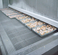 Iqf Tunnel Snelvriesvriezer Iqf Vriezer Tunnel/Snelle Tunnel Vriezer Gebruikt In Assemblagelijn