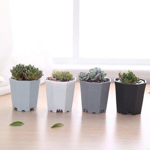 Simple Design Thick Small Square Octagon Muti Color Plastic Succulent Nursery Pot De Fleur