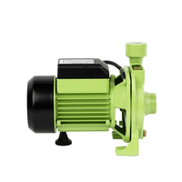 Pompe à eau centrifuge électrique à un étage de moteur en fil de cuivre 100% à haut débit de 0,75 ch