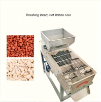 Machine à peler automatique 200 kg/h pour soja, pois chiches, amandes et arachides