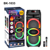 Altavoz Bluetooth OEM Dual de 10 Pulgadas, Altavoz de Karaoke Portátil con Micrófono Inalámbrico RGB, para Conciertos al Aire Libre y Cine en Casa