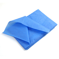 Housse de lit jetable Solong TC241 15gsm 20pcs/sac, imperméable, pour salon de tatouage et maquillage permanent