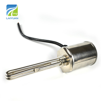 Chauffe-eau électrique à immersion Laiyuan de haute qualité 12V 200W avec contrôle de température Fahrenheit importé