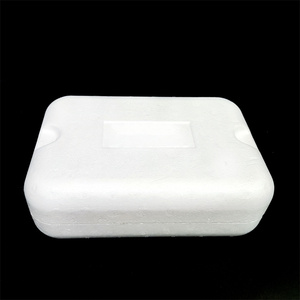 Paquets de conteneur <span class=keywords><strong>d</strong></span>'expédition <span class=keywords><strong>d</strong></span>'isolation de mousse <span class=keywords><strong>d</strong></span>'eps de <span class=keywords><strong>polystyrène</strong></span> pour l'expédition de crème glacée - Product Image 4
