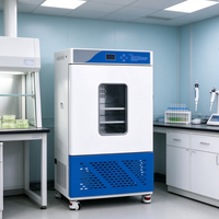 Incubateur de laboratoire à température constante avec ventilateur de circulation et conduit d'air spécial pour la culture de bactéries, de champignons et de microorganismes