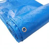 HONG YING Housse de protection anti-moisissure pour bateau, bâche en PVC enduit pour extérieur, coupe-vent, unie, poids moyen