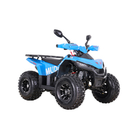 Quadricycle Tao Motor 2026 125cc, 4 temps, 2 roues motrices, transmission par chaîne, boîte automatique, jantes en alliage, style sport, système d'injection électronique de carburant