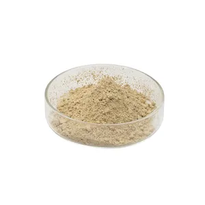 Additif alimentaire De Soja Extrait Daidzein N ° CAS 486-66-8