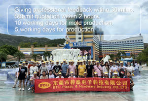 Fabricant de moules d'injection plastique bon marché sur mesure, fabrication de produits en plastique, moule d'injection - Product Image 6