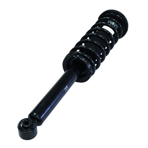 Amortisseur arrière complet avec ressort hélicoïdal et ressort à gaz pour Honda Accord Acura TL, référence 171372, fabriqué en Chine - Product Image 4