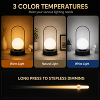 Lampe de bureau LED sans fil en métal en forme de boule, moderne, flexible, simple, protectrice des yeux, alimentée par batterie, à intensité variable tactile, lampe de lecture portable
