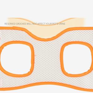 Huisdierondersteuningsgordel Voor Oudere En Gehandicapte Honden Om Te Helpen Bij Revalidatie En Lichaamsbeweging En Om Hen Te Helpen Trappen Te Beklimmen - Product Image 5