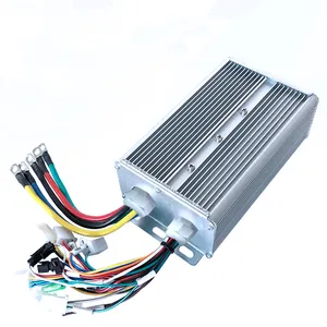 48V 60V 72V 550W 800W 1000W 1200W 1500W 1800W BLDC Motor Big Rated Power Cargo Dreirad regler